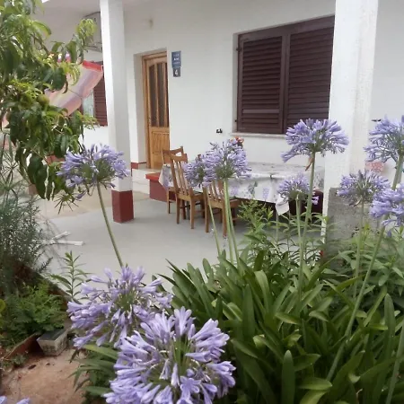Comfort On The Apartman Kali