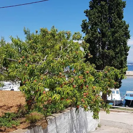 Апартаменты Comfort On The Кали